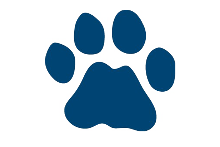 Surratt Elementary School - Dog And Cat Footprints (720x480)
