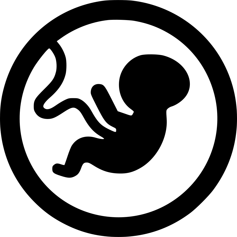 Embryo Comments - Scalable Vector Graphics (980x980)