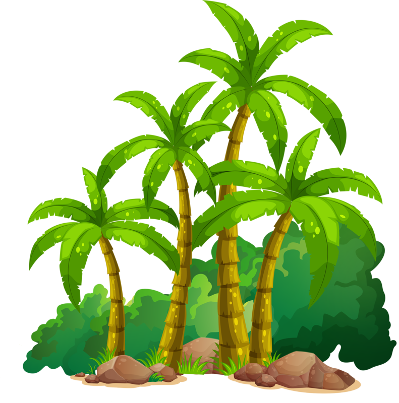 Coconut Clip Art - Coconut Clip Art (791x800)