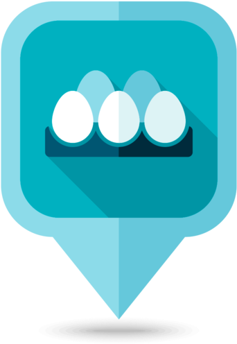 Egg Freezing Success - Vector Graphics (560x610)