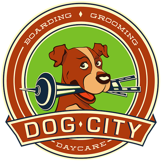 At Dog City Seattle, We Love Bad Hair Days - Dogcity Daycare East (600x580)