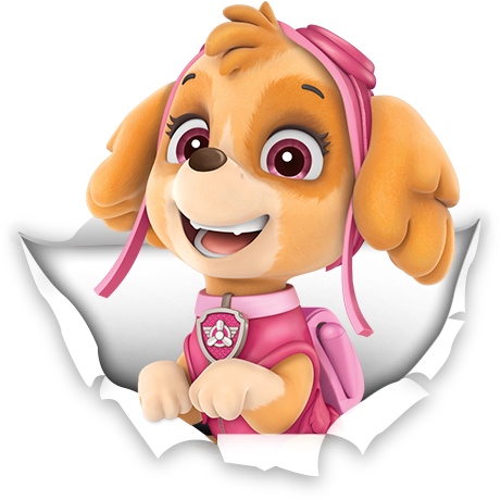 Skye - Skye And Everest Paw Patrol Invite (480x534)