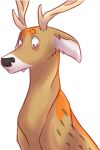 Reindeer Animal Macropodidae - Reindeer Animal Macropodidae (500x500)