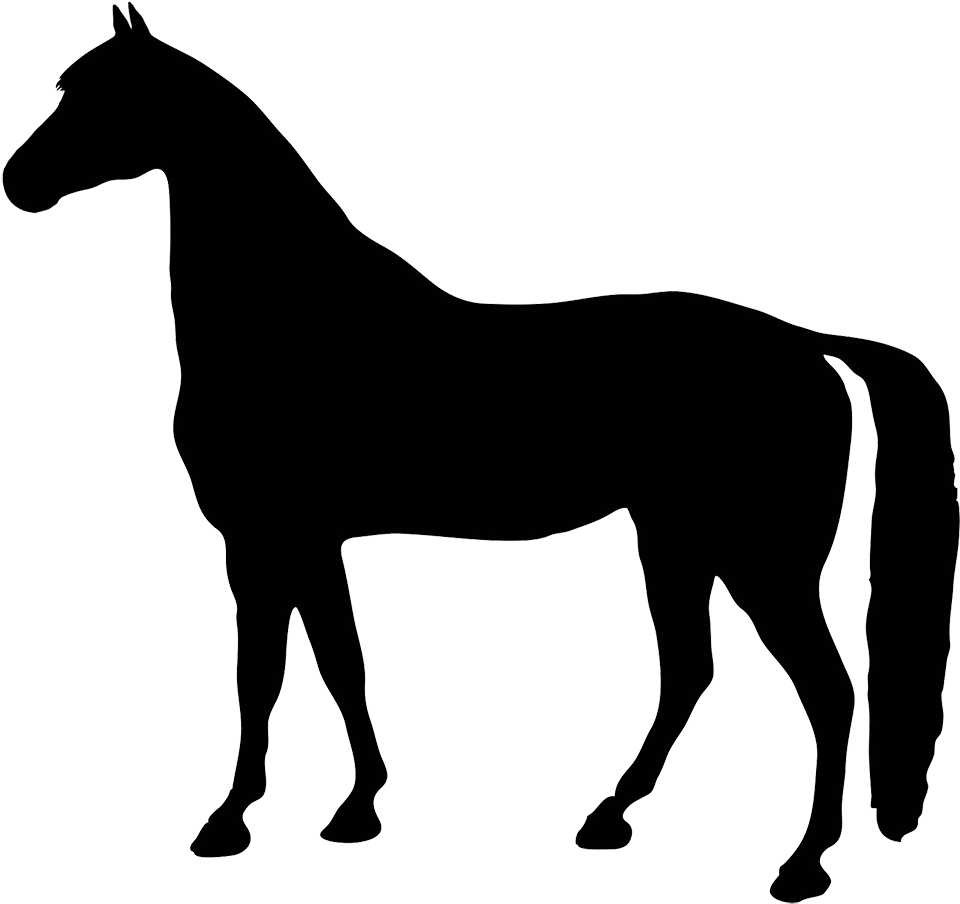 Black Horse Silhouette Clipart - Horse Silhouette Clip Art Free (1004x936)