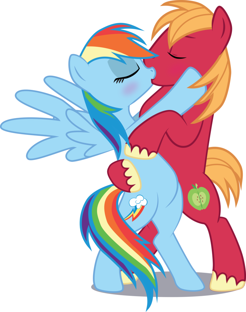 Rd And Big Mac By Benybing - Rainbow Dash And Big Mac (793x1007)