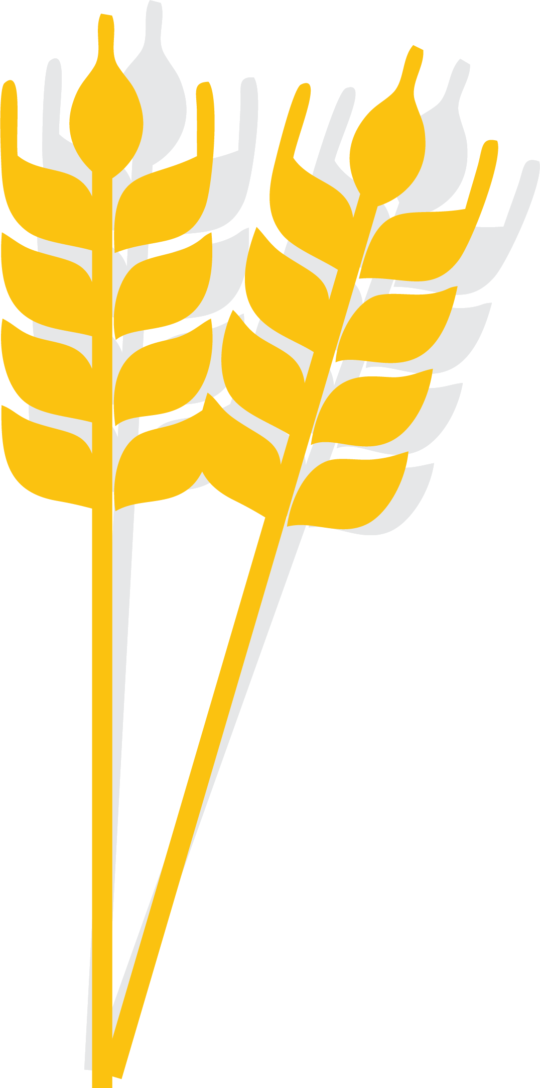 Rice Cartoon Wheat Icon - Rice Cartoon Wheat Icon (1076x2165)