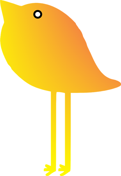 Cameo Cliparts 24, Buy Clip Art - Passaro Amarelo Png (493x720)