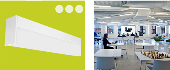 It Can Be Pendant Or Surface Mount - Interior Design (604x249)