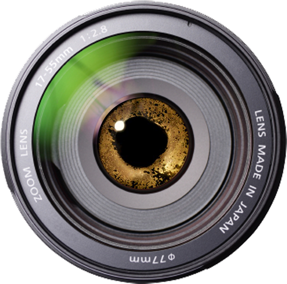 Crp Visuals - Circle (1024x1024)