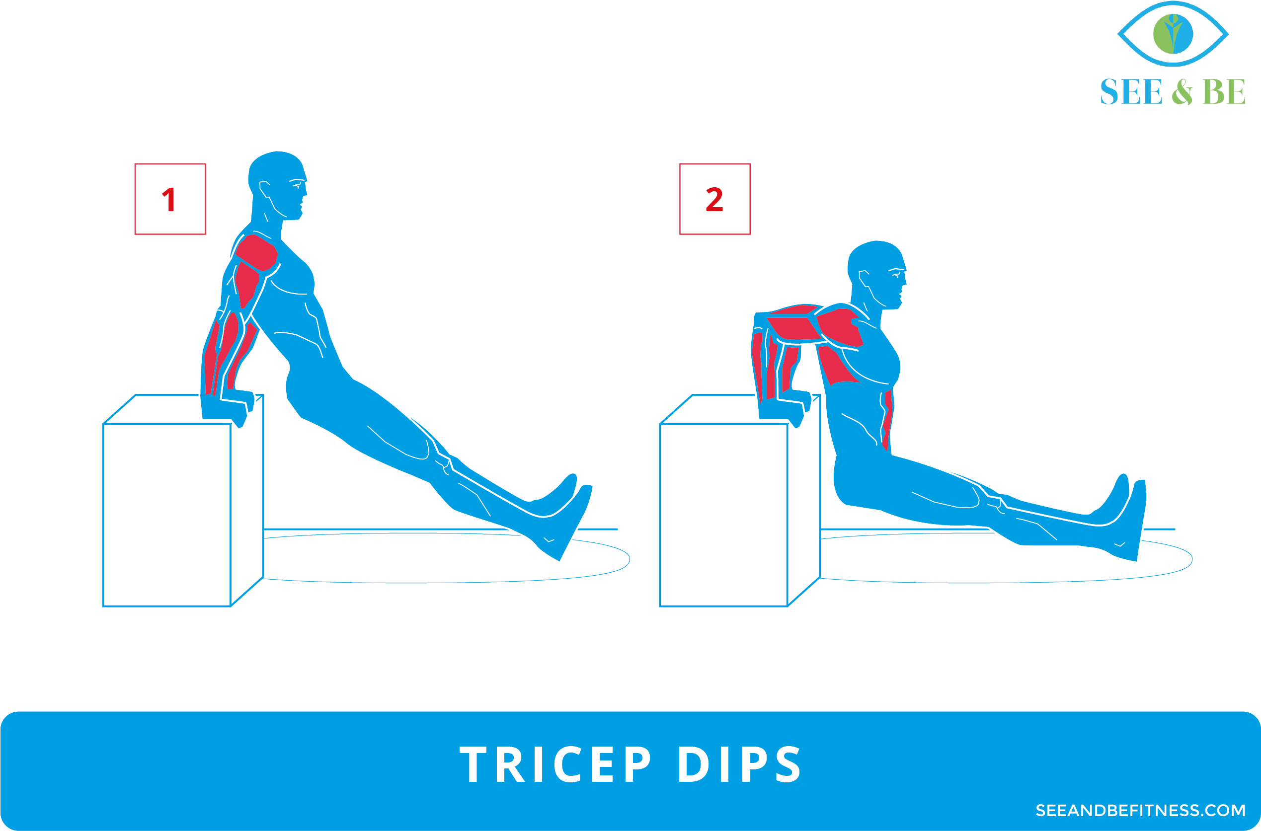 See & Be Fitness - Jumping Jacks Muscle Group (2766x1866)