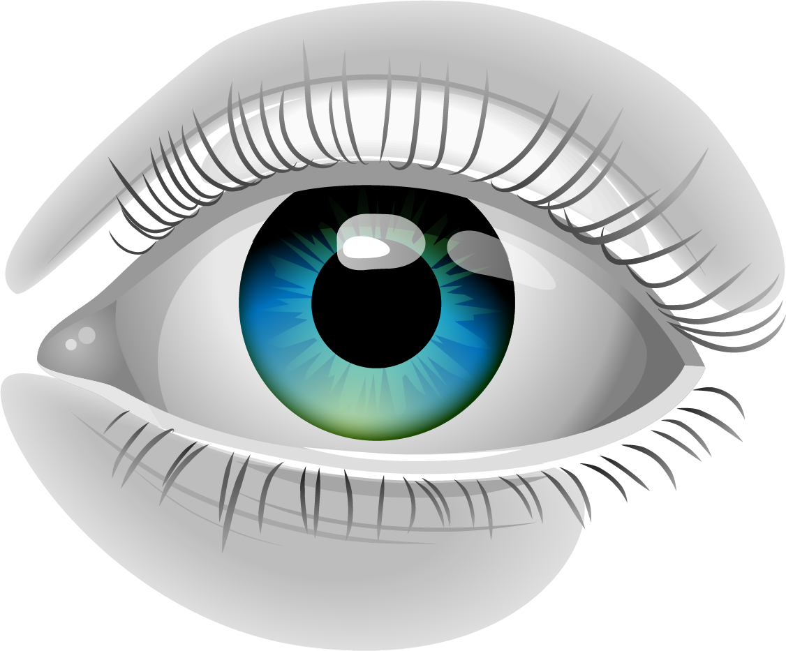 Human Eye Pupil Euclidean Vector - Lloydspharmacy Chloramphenicol Eye Ointment 1% (1126x933)