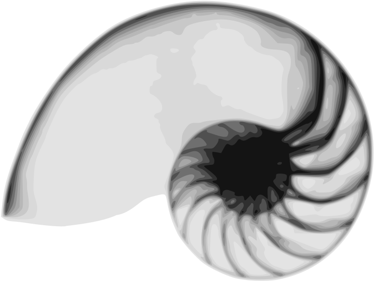 Free Vector Nautilus - Nautilus Svg (800x602)