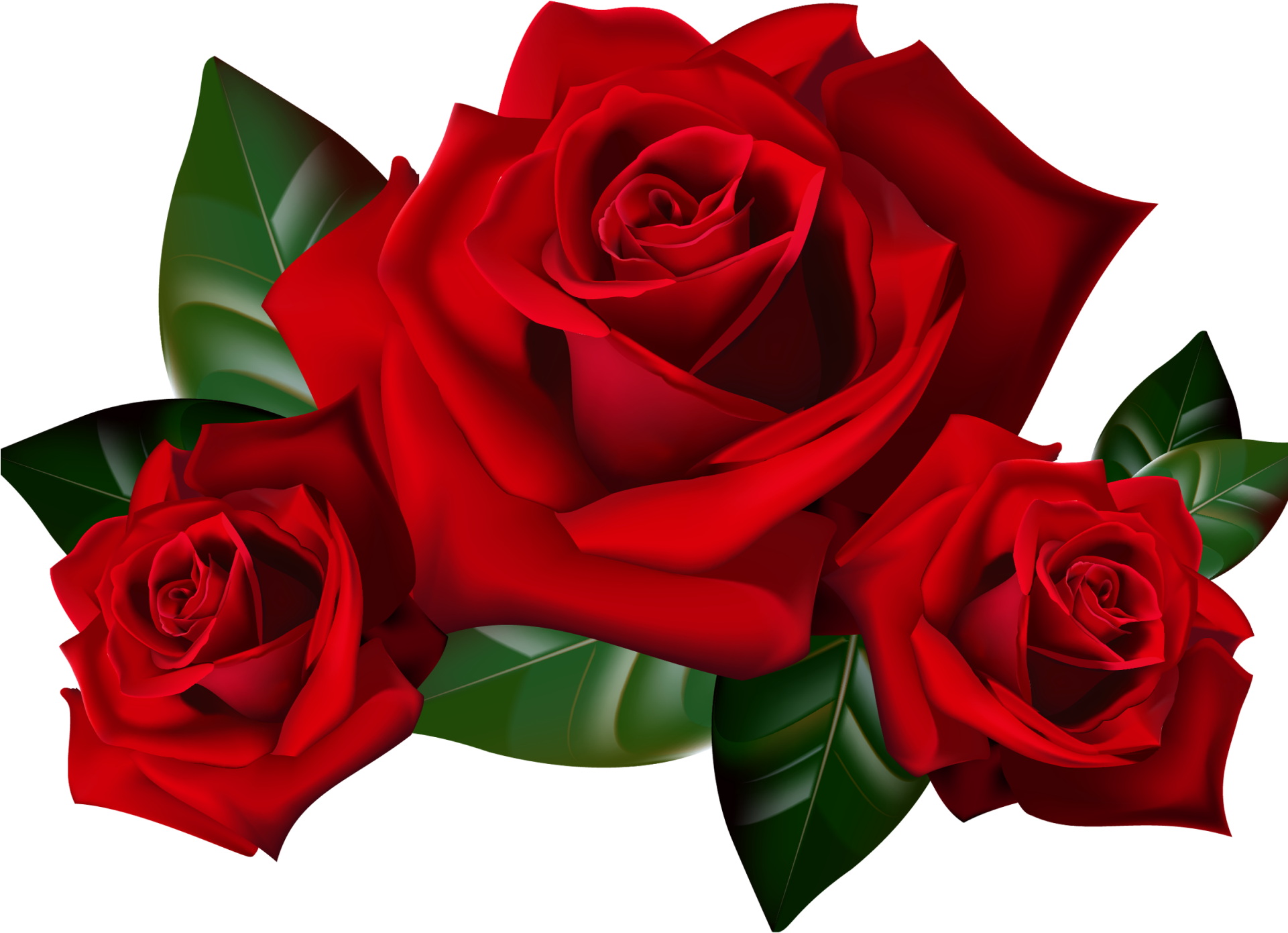Harp Clipart Rose Wallpaper - Roses Transparent Png (1920x1440)