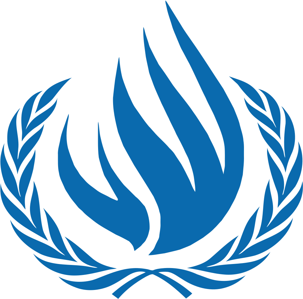 Zeid Criticises Gambia For Harsh Legal Amendment Targeting - United Nations Human Rights Logo (1024x1024)