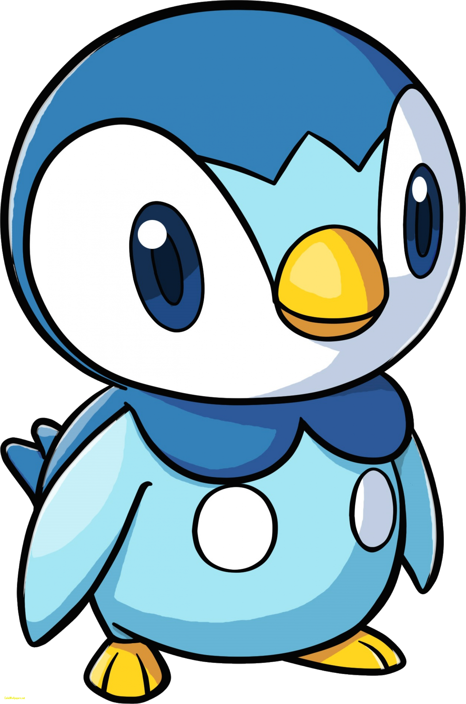 Piplup Pok Mon Wiki Best Of Pokemon Image - Pokemon Piplup (1600x2419)