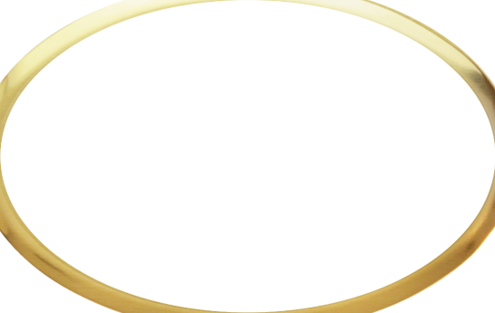 Baytree Gold Oval Professional Class Badges - Circle (546x345)