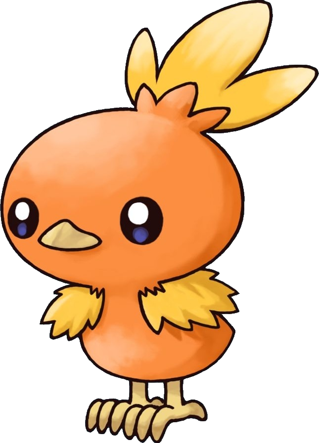 Pokemon Torchic Kawaii (645x897)