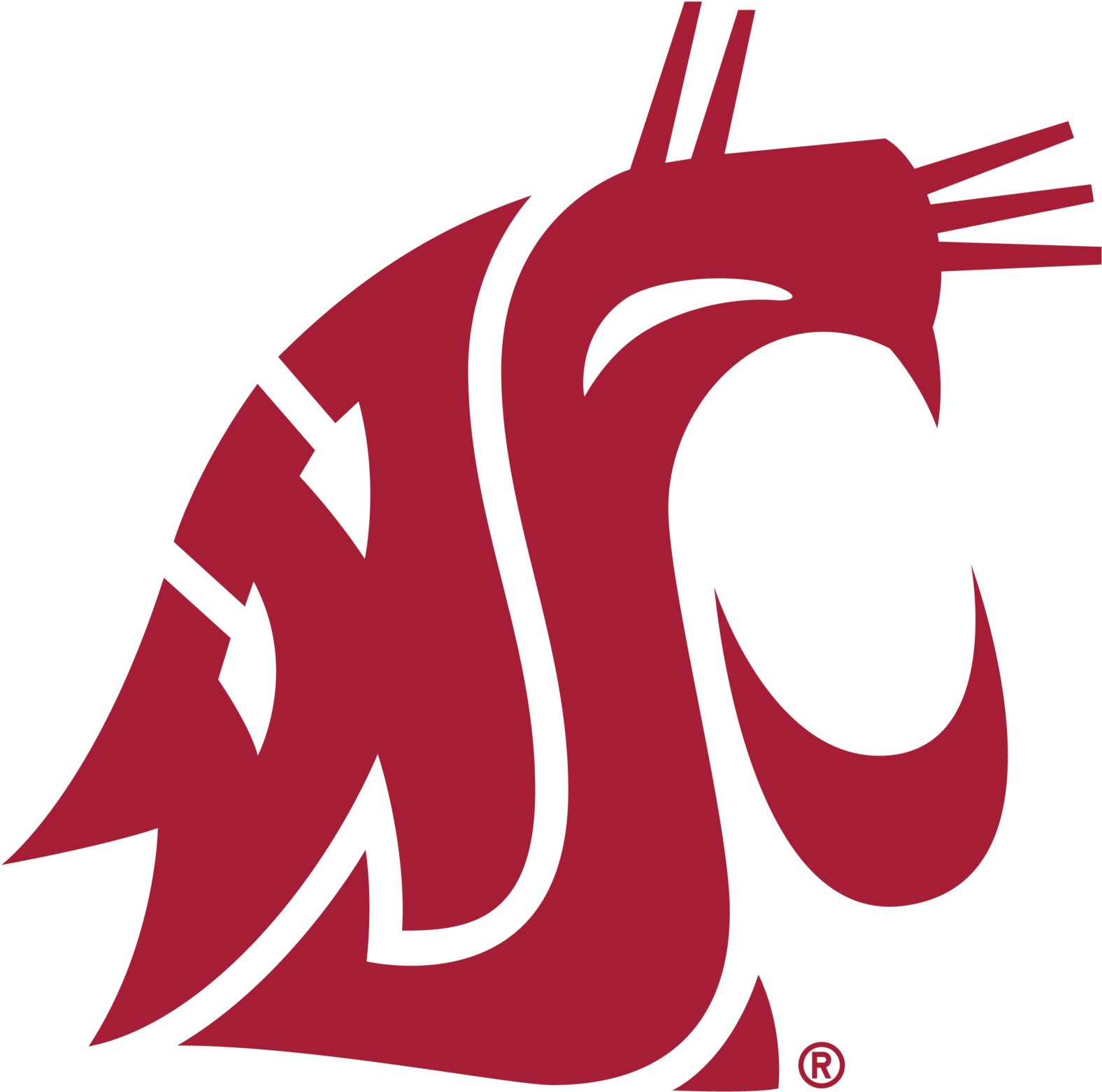 #30 Washington State Cougars - Cougars Washington State (1576x1563)