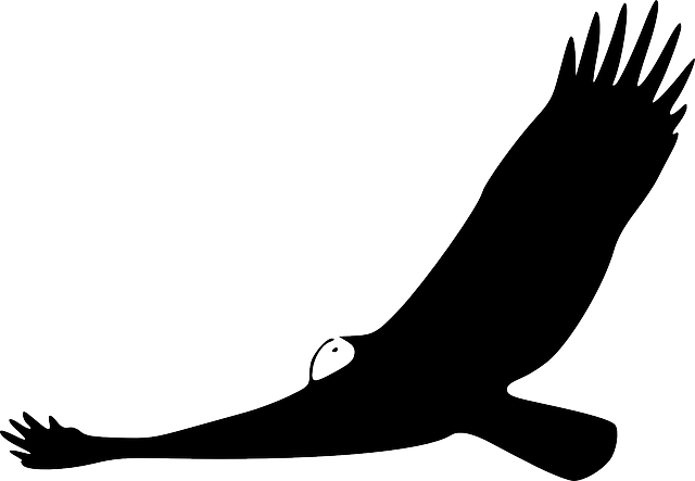 Animals, Turkey, Silhouette, Cartoon, Birds, Flying - Turkey Vulture Clipart (640x443)