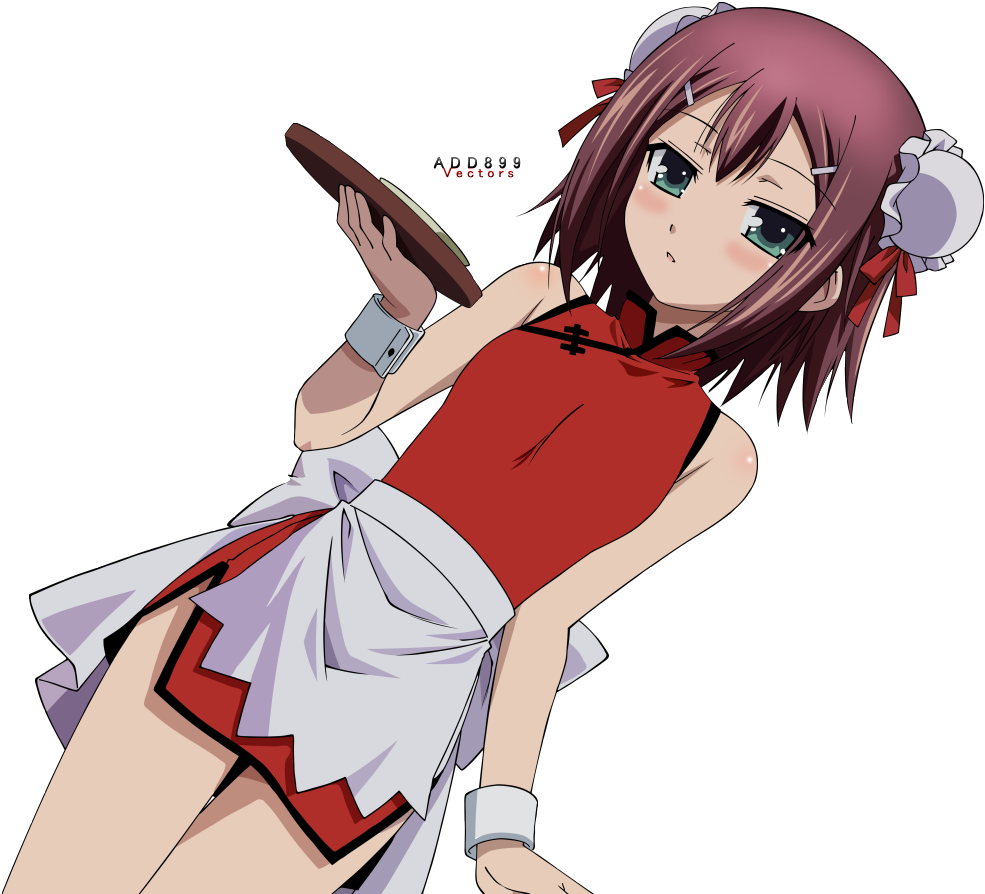 Baka To Test To Shoukanjuu (1023x922)