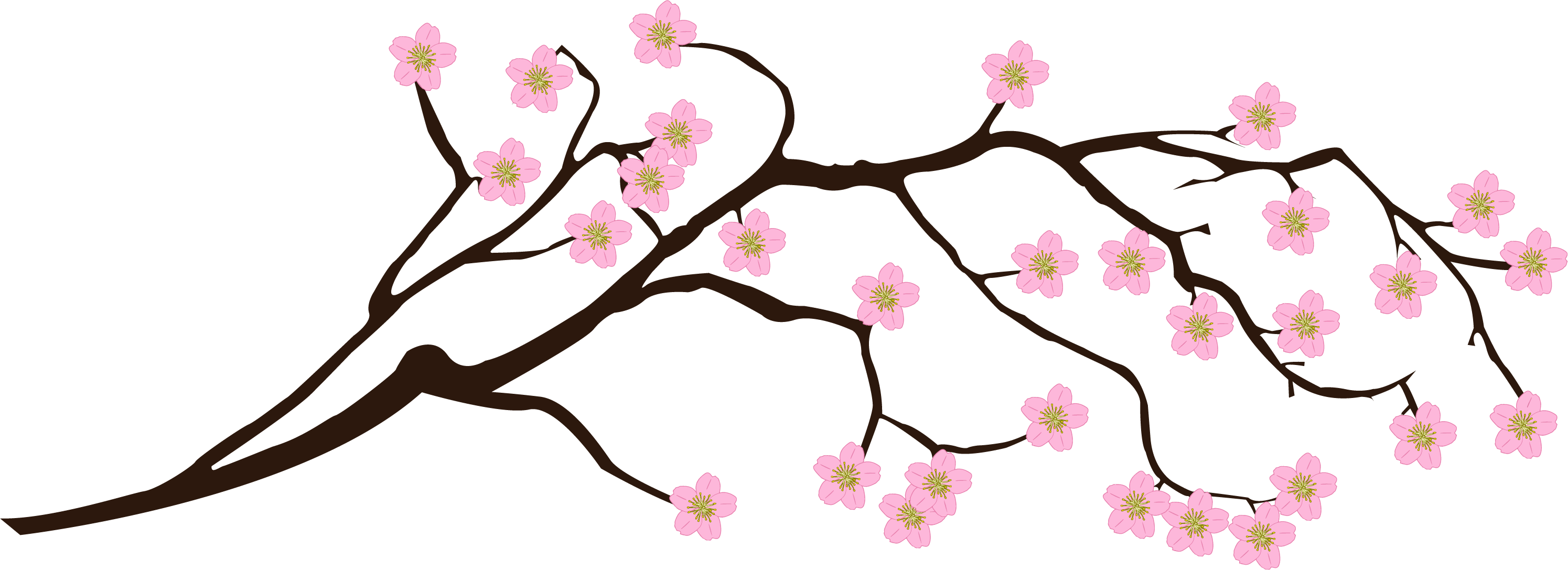 Arts Graphic - Cherry Blossom (2990x1087)