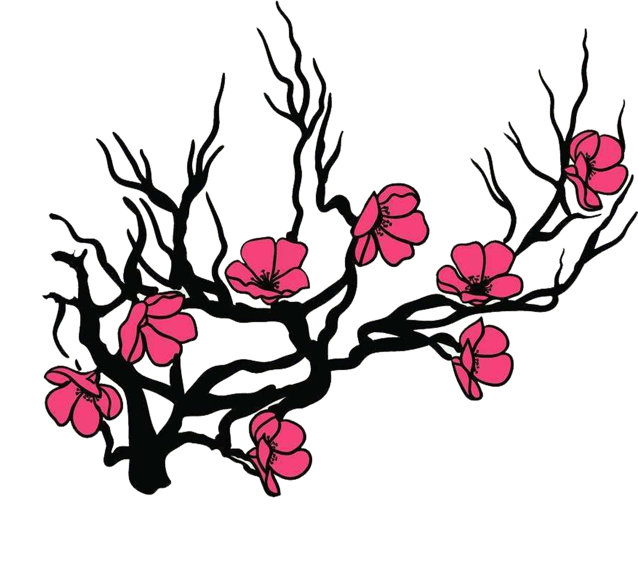 Flower Cherry Blossom Royalty Free Illustration - Flower Cherry Blossom Royalty Free Illustration (2362x2362)