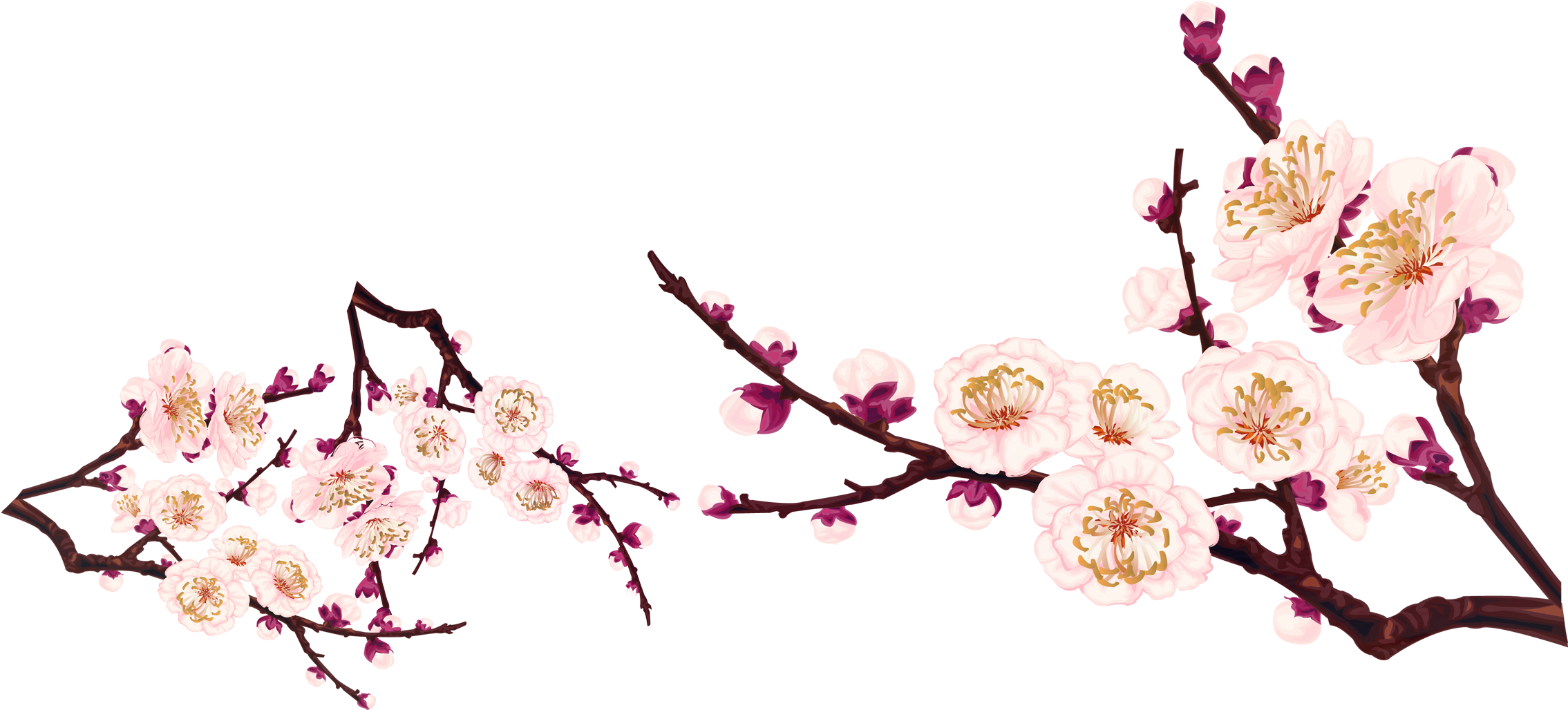 Graphic Design Clip Art - Graphic Design Clip Art (2500x1130)