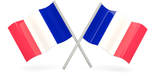 France - French Flag Transparent Background (641x302)