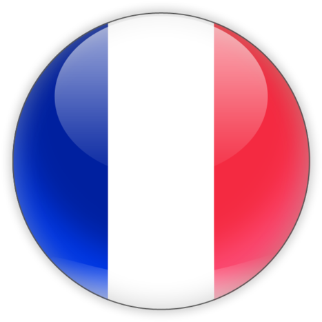 France - France Flag Png (640x480)