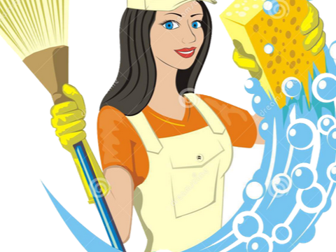 Lady Maid Services House Cleaning Live Stream - House Cleaning Manual?cleaning Made Easy: A Beginner's (480x360)