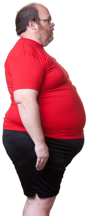 What Is It - Manga Gastrica (303x700)