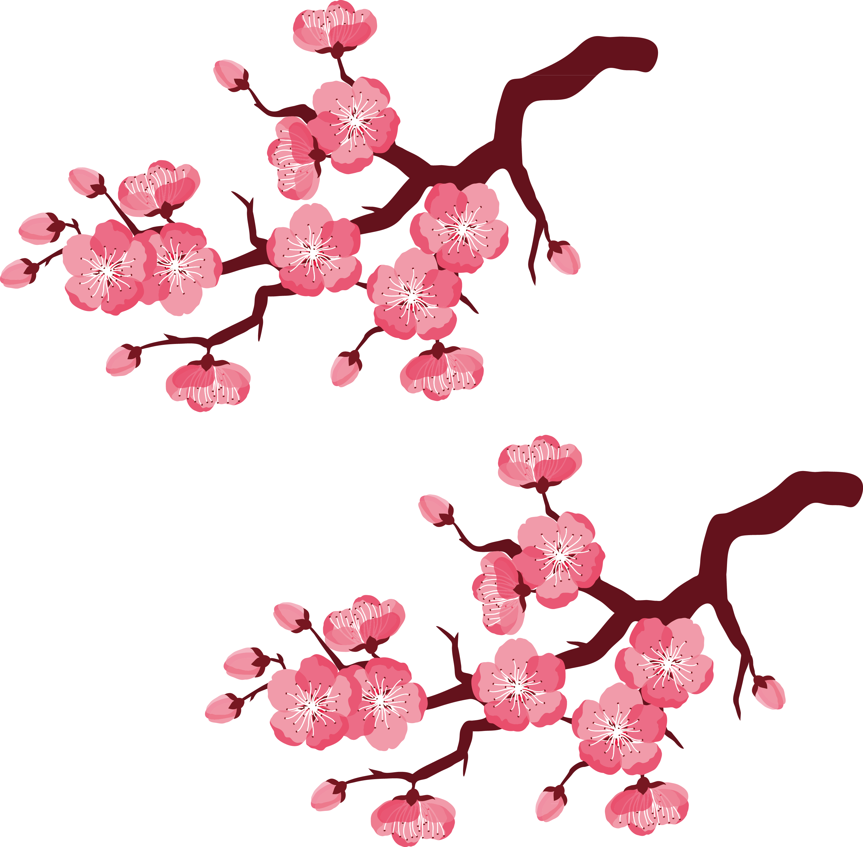 Cherry Blossom Branch Illustration - Cherry Blossom Cartoon Png (2989x2933)