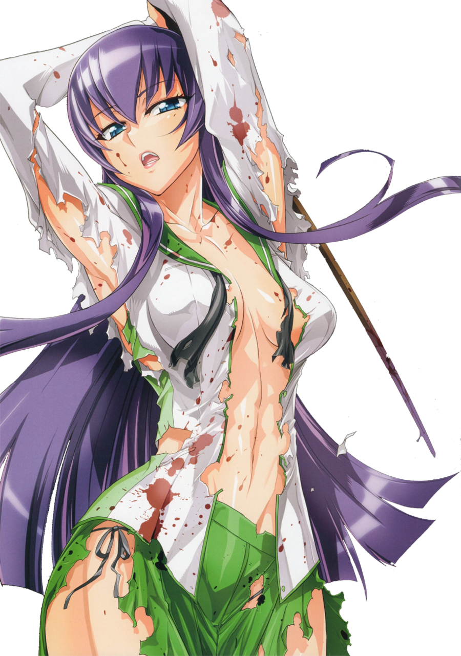 High School Of The Dead Age - Highschool Of The Dead (color Edition) (900x1281)