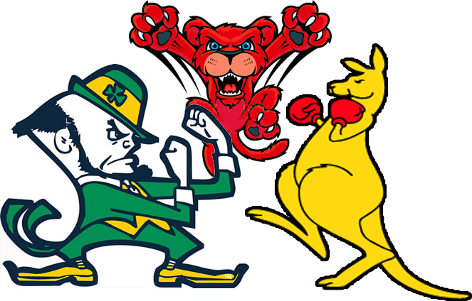 [ Img] [ Img] - Notre Dame Fighting Irish Mascot (663x424)