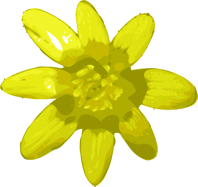 1 - Yellow Flower Clip Art (800x757)