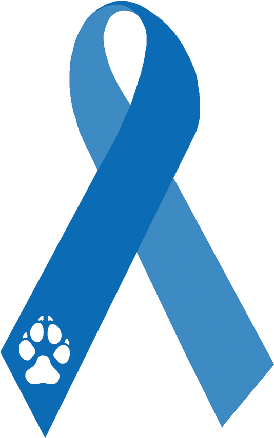 Please Read Below To Find Out More About What It Takes - Signo Cancer De Colon (897x882)