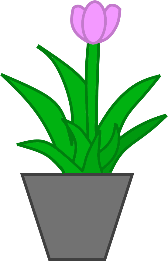 Potted Plant - Wiki (700x1000)