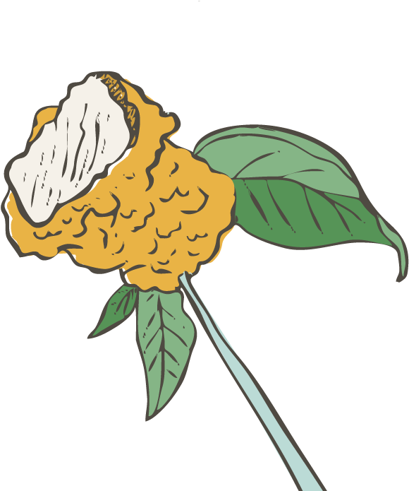 Barbecue Food Deep Frying - Vector Graphics (700x700)