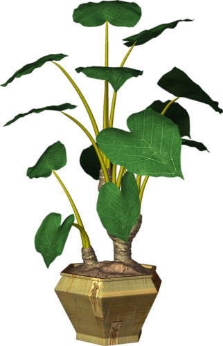 Garden Pot Plant - Houseplant (322x500)