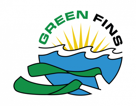 An Approach To Managing A Sustainable Diving Industry - Green Fins (440x342)