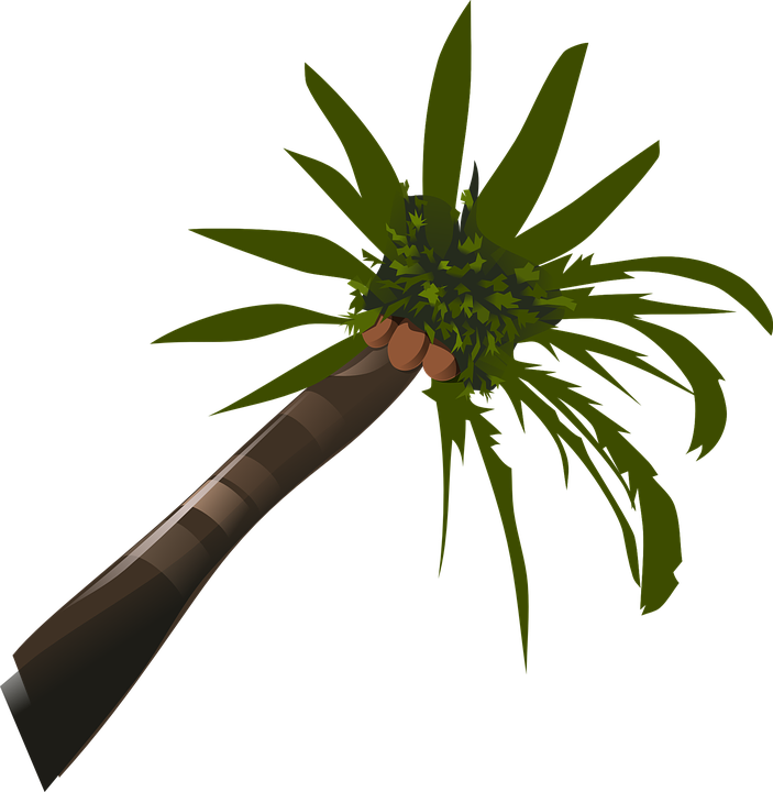 Free Hawaiian Clipart 20, - Palm Tree Clip Art (703x720)