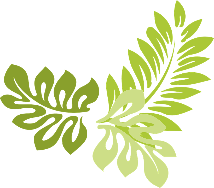 Free Hawaii Clipart 10, Buy Clip Art - Hibiscus Clip Art (819x720)