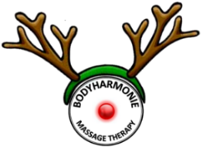 0 Comments - White Christmas Twitter Header (400x300)