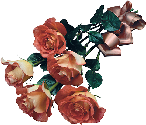 Png Home Site - Roses Psd (500x425)