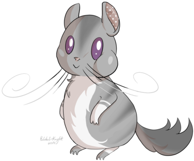 Chinchilla By Sil3ntrain - Chinchilla (400x337)