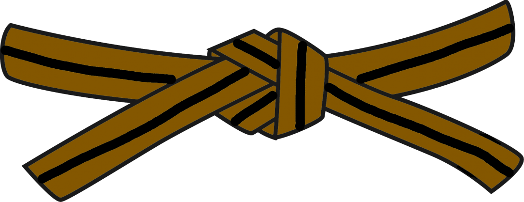 Martial Arts Brown Belt - Jiu Jitsu Blue Belt (1080x417)