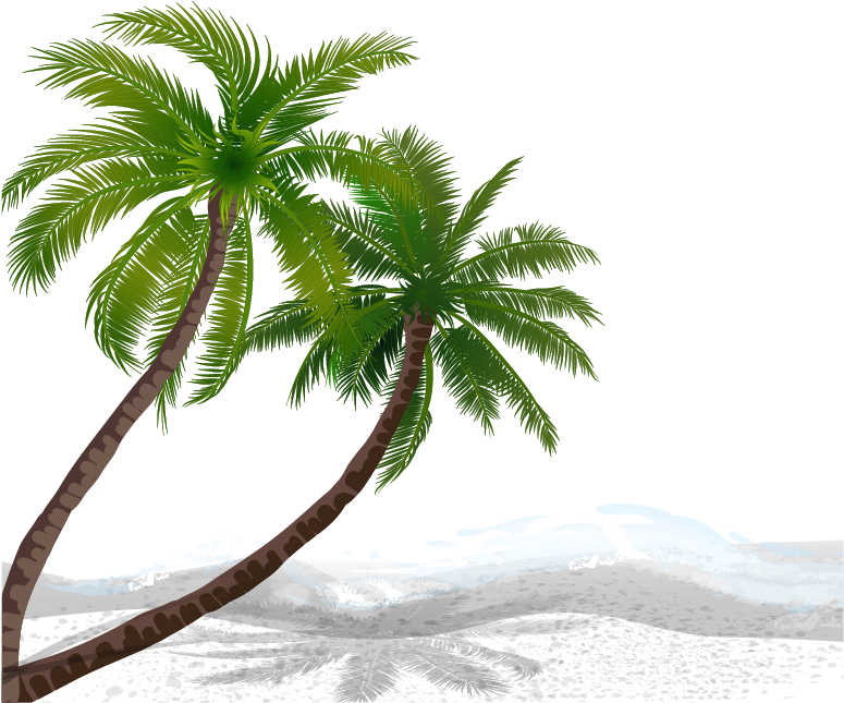 Vector Coconut Trees 1008*757 Transprent Png Free Download - Vector Coconut Trees 1008*757 Transprent Png Free Download (1008x757)