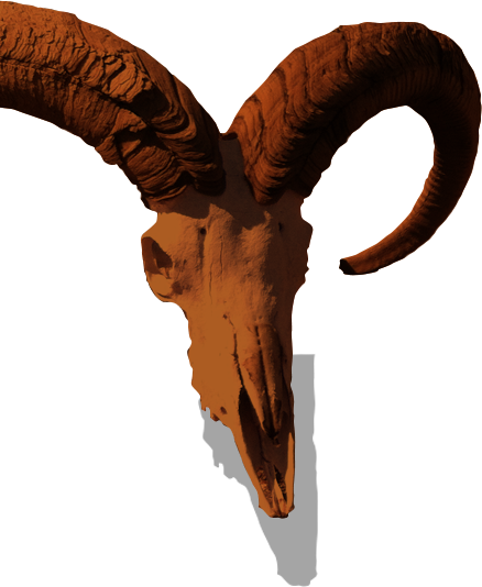 But On This Trip, The Desert Was Trying To Kill Us - Skull (438x534)