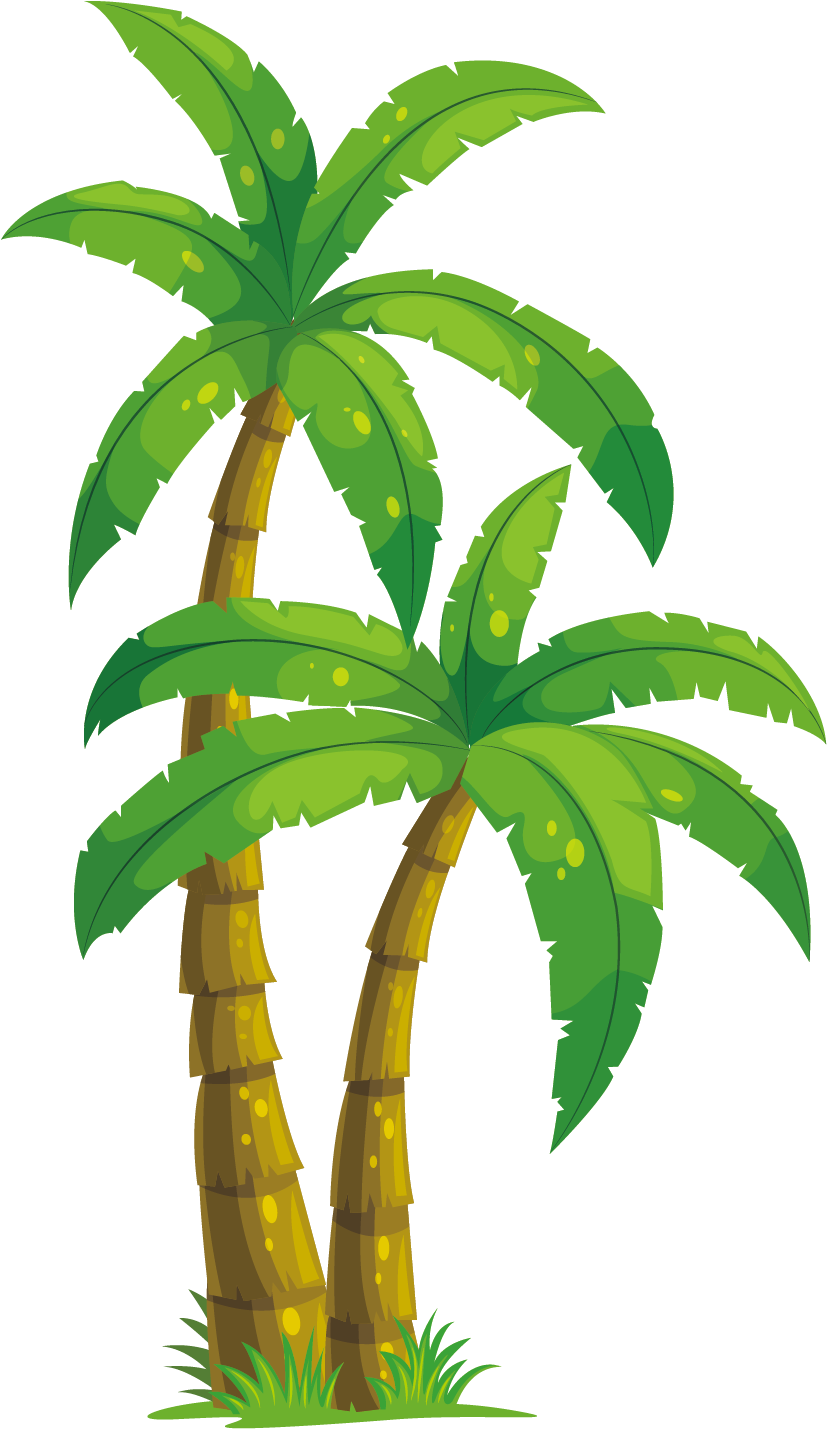 Arecaceae Coconut Tree Illustration - Animated Palm Tree Png (1654x1654)