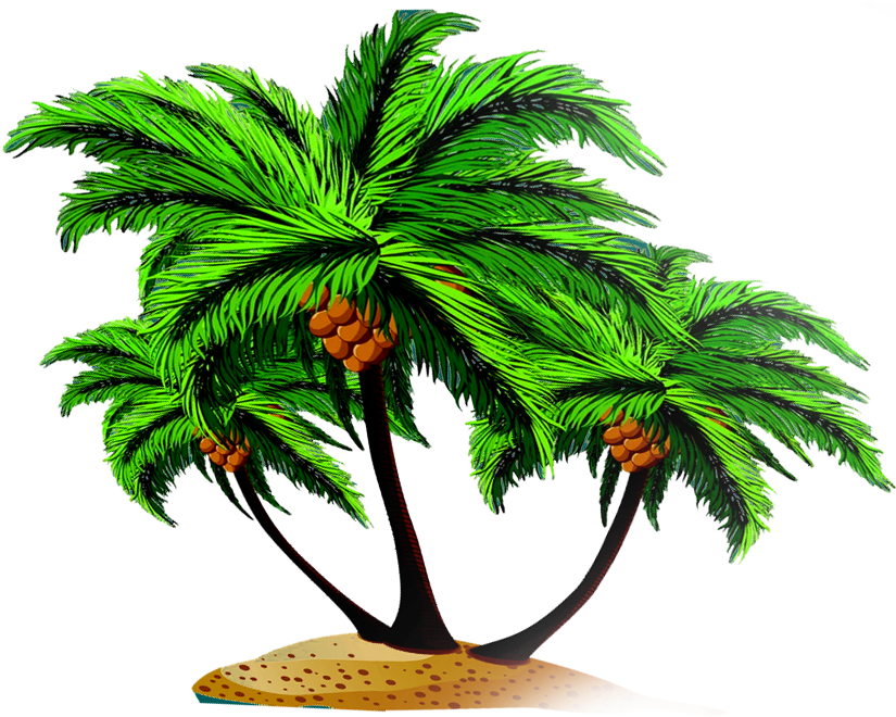 Arecaceae Coconut Tree Euclidean Vector - Arecaceae Coconut Tree Euclidean Vector (850x850)